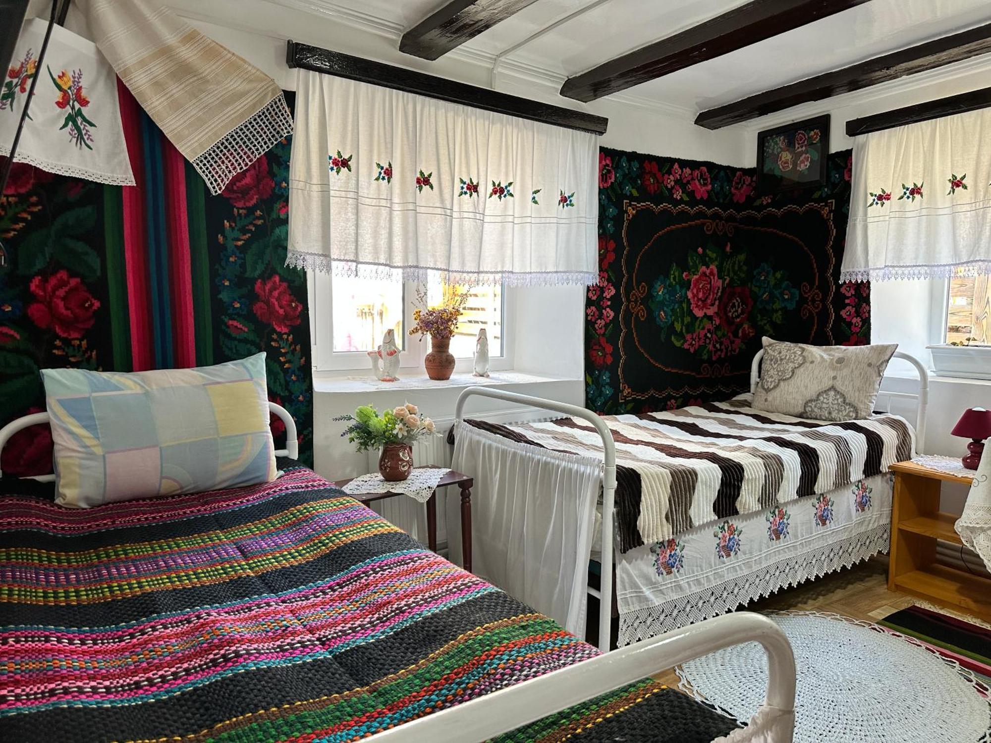 Bed and Breakfast La Madalina à Selemet Extérieur photo