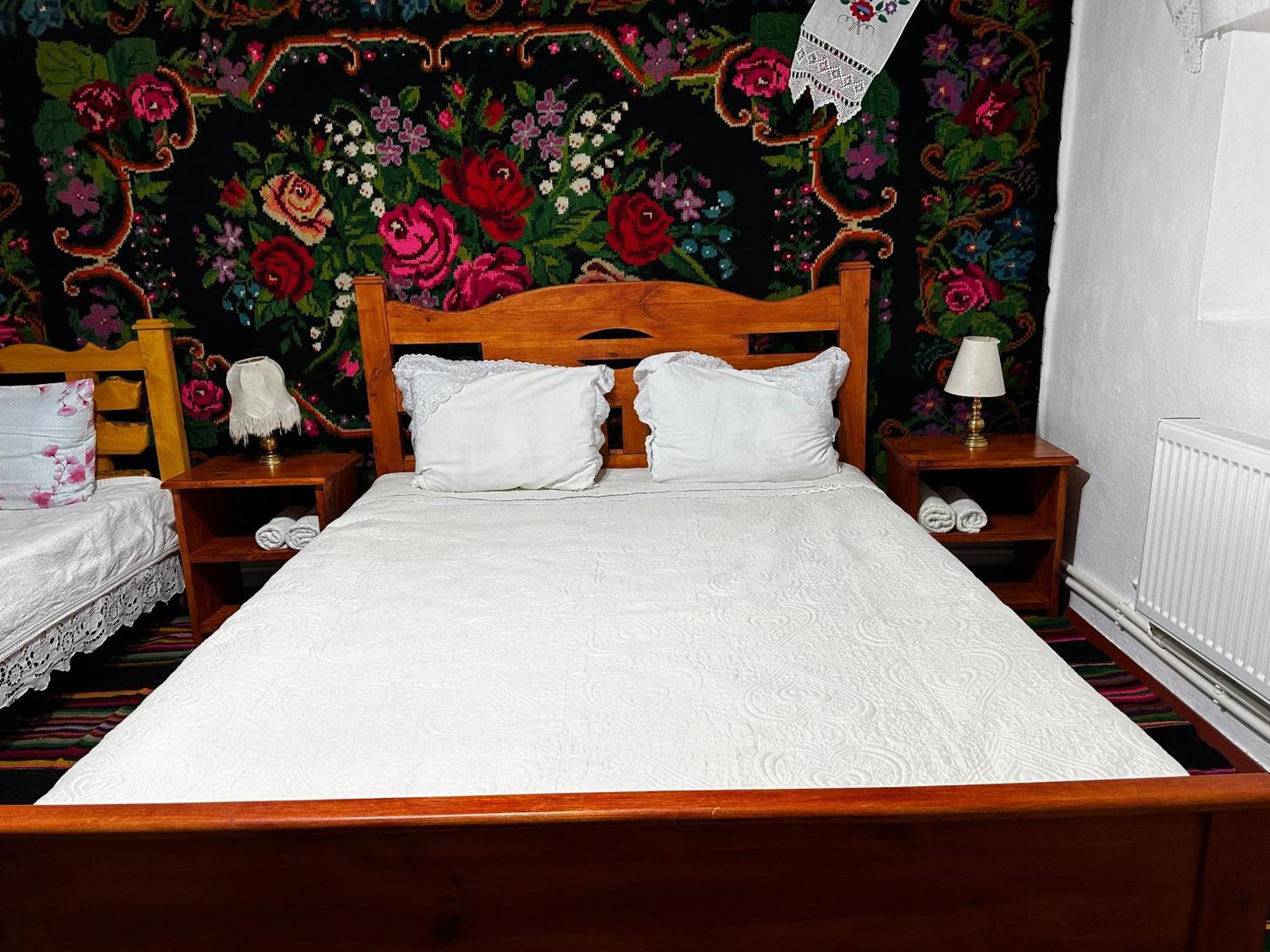 Bed and Breakfast La Madalina à Selemet Extérieur photo