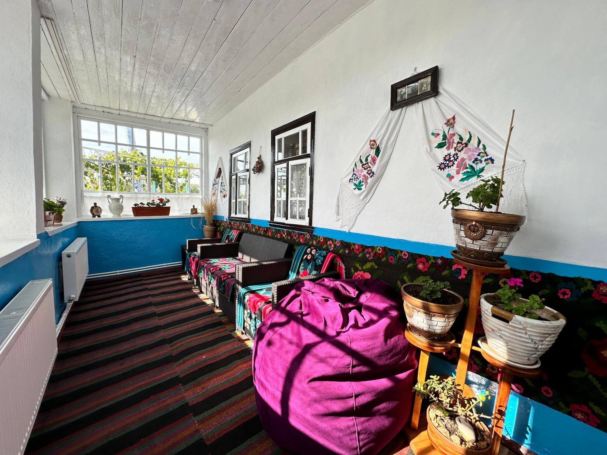 Bed and Breakfast La Madalina à Selemet Extérieur photo