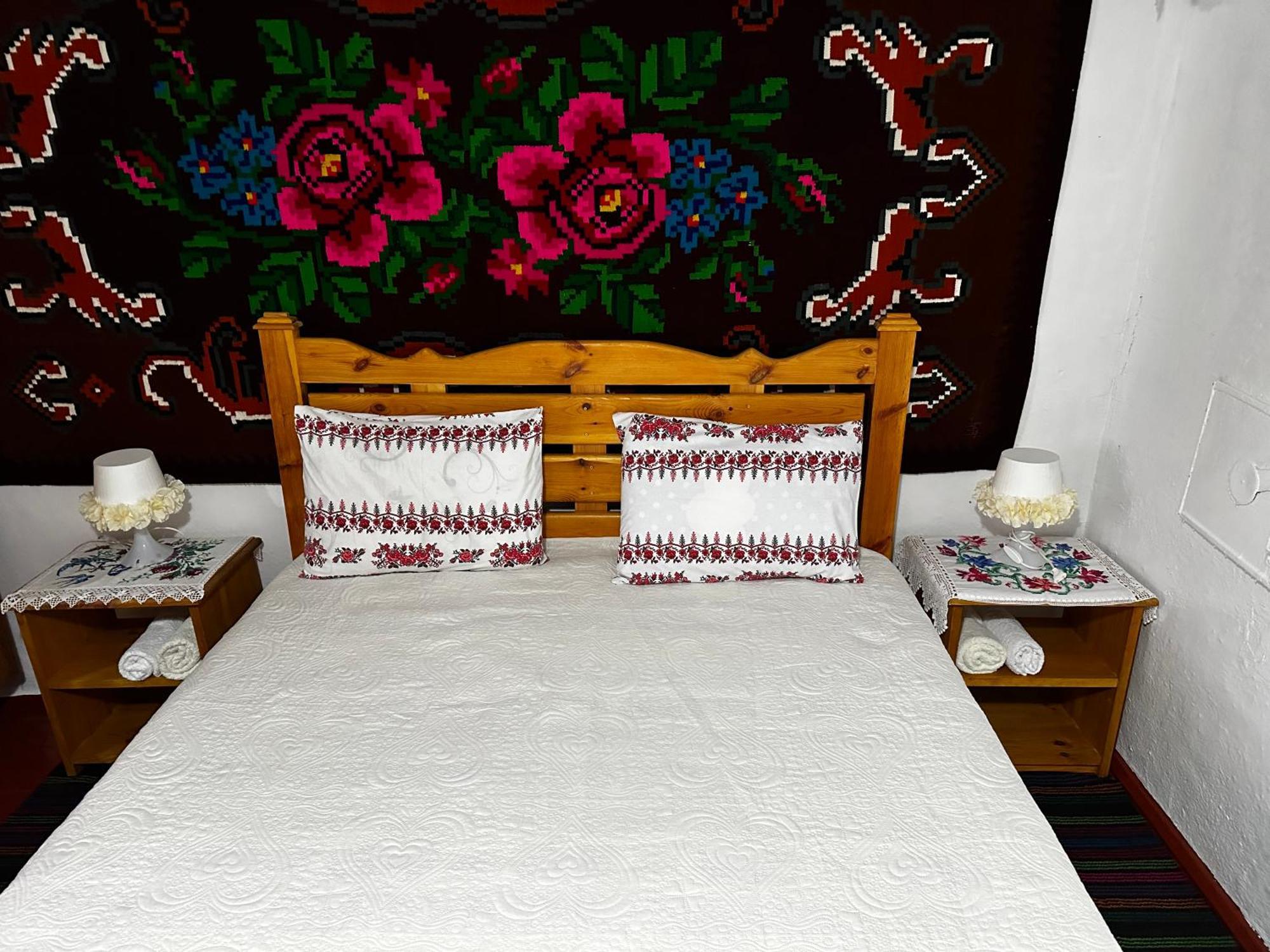 Bed and Breakfast La Madalina à Selemet Extérieur photo
